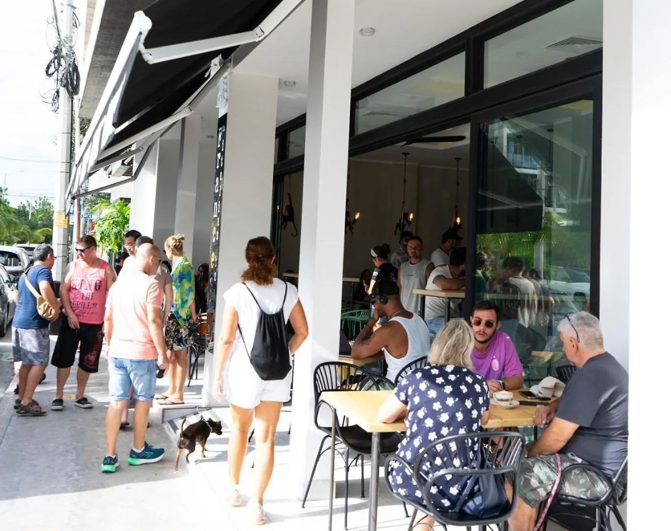 Amplio Apartamento 2 Beds Ubicacion Top! Playa del Carmen